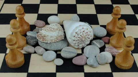 River shells and pawns Stock Footage 81114034