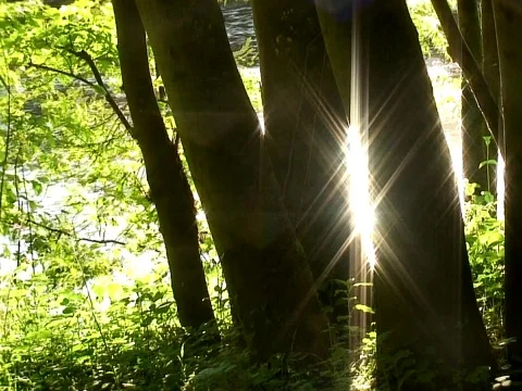 River Shine Video stock 490249