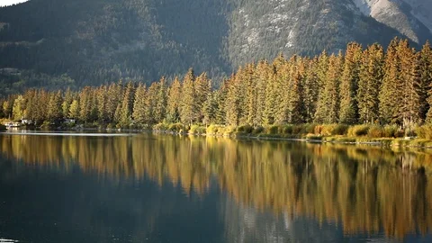 River shore in afternoon Stock Footage 101987835