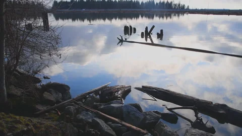 River shore with cloud reflections and old pilings, 4k Stock Footage 232438128