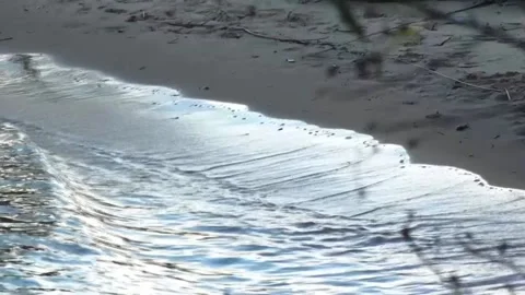 River Shore on a cloudy day Stock Footage 196447745