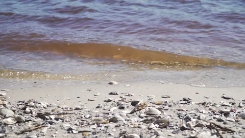 River Shore Video stock 81911063