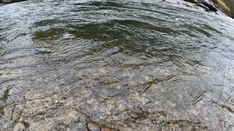 River shore Stock-Footage 182686420