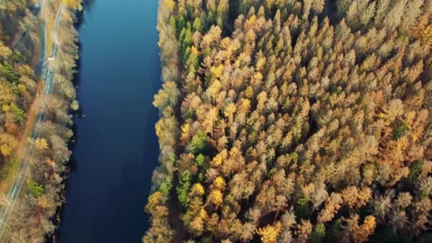 River shore Stock Footage 220333354