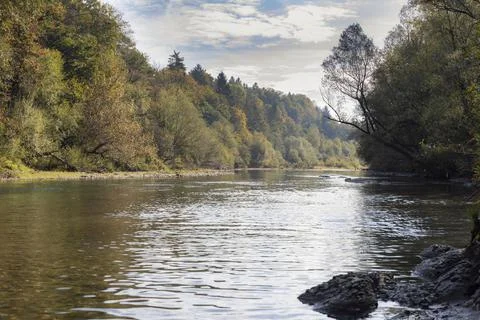 River shore by the forest 写真素材