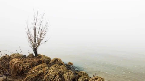 River shore in the mist Video stock 87201473