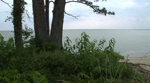 River shore pan Stock Footage 11840057