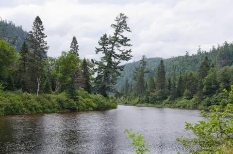 River shore Stock Photos