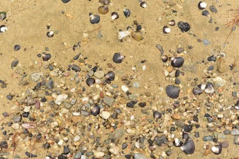 River shore Stock Photos