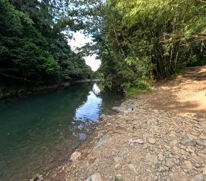 River shore Foto stock
