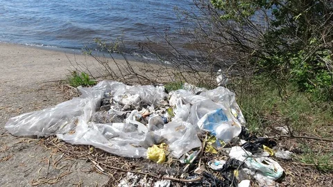 River shore polluted with plastic waste and garbage. Stock Footage 130145734