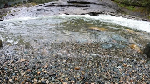 River shore with rapids Stock-Footage 182685893