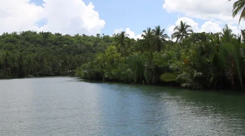 River shore from river Stock Footage 39981316