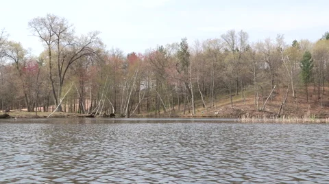 River Shoreline from a boat Stock Footage 49802074