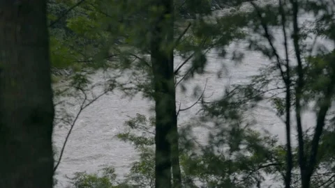 River shot Video stock 201840645