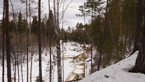 River in siberian forest in spring Stock Footage 269337704