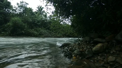 River side beautiful landscape Video stock 93723139