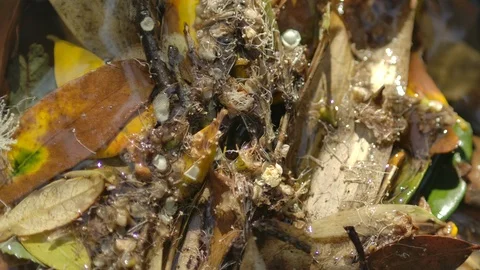 River side Stock Footage 125054385