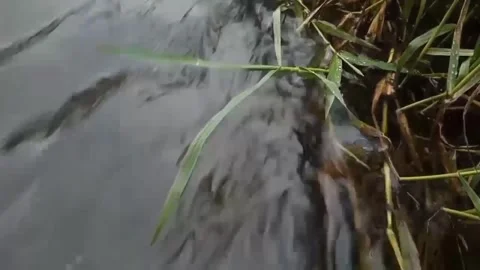 RIVER SIDE Stock Footage 255868176