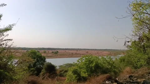 River side Stock Footage 273653263