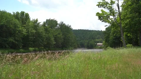 River side grass Stock Footage 171342736