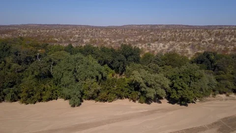 River side green vegetation inside african desert drone aerial Video stock 98941251