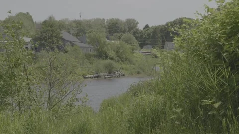River Side Machias Stock Footage 311490234