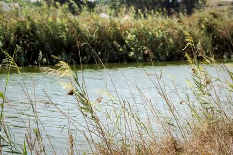 The River Side Stockfoto's