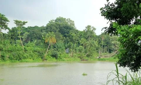 River side Stock Photos