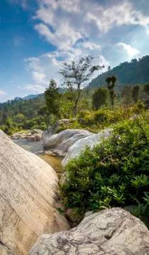 River Side 스톡 사진