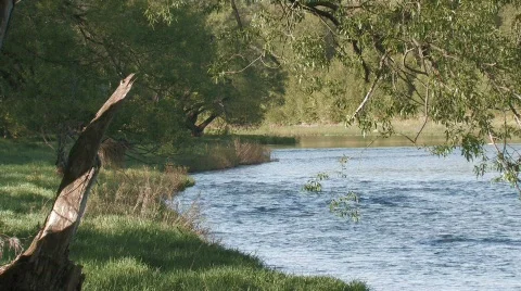 River Side with Trees Stock Footage 511783