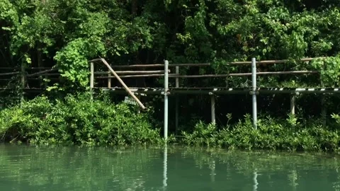 River Side View I Bojo River I Cebu Stock-Footage 159639107