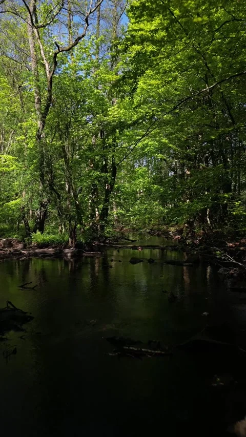 River at Skäralid 1 Stock Footage 276445384