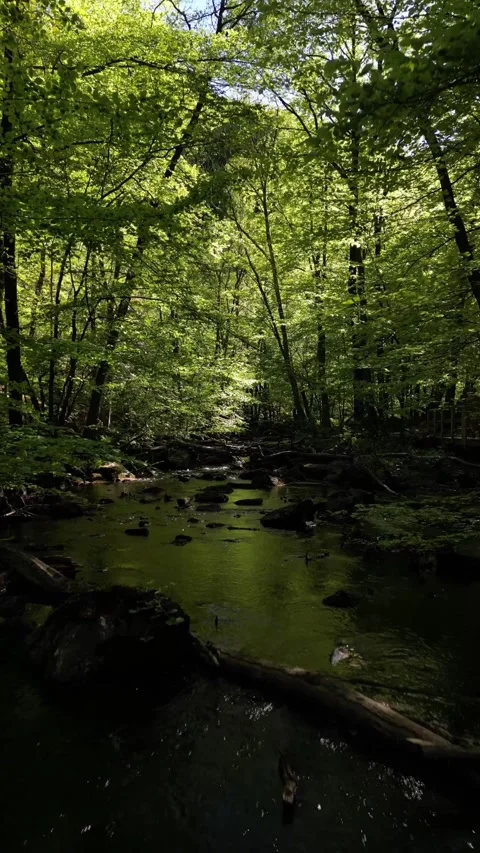 River at Skäralid 2 Stock Footage 276445412