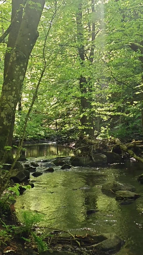 River at Skäralid 7 Stock Footage 276446488