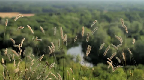 The river of the slope Stock Footage 24037054