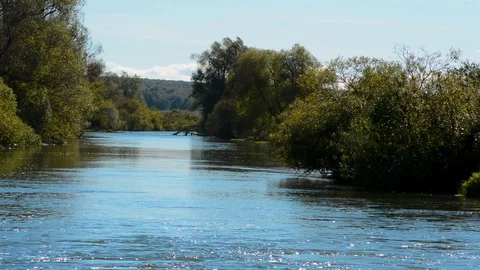 River with slow flow of green trees Stock-Footage 96024803