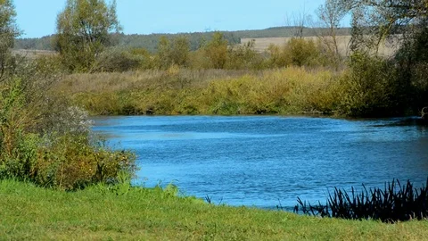 River with slow flow of green trees Stock-Footage 96025067