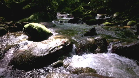 River slow mo light lower Stock Footage 279910478