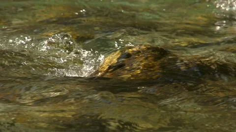 River in slow motion Stock-Footage 49043878