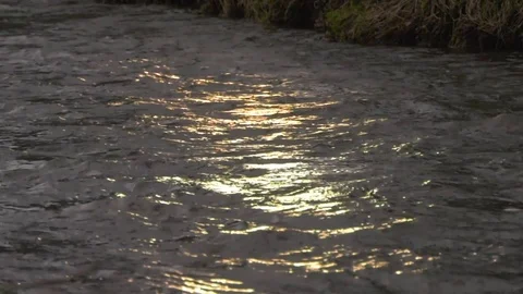 River Slow Motion Stock Footage 87691928