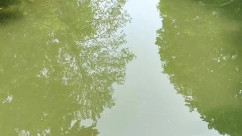 River Slowly Falling - Central New York Video stock 336295959