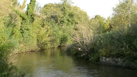 A River Slowly Flowing Through The Countryside Stock Footage 163364998