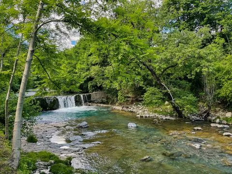 A river with a small cascade of water flows between the trees of a forest on  Stock Photos
