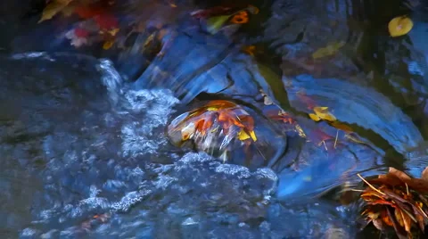 River small flowing water looping time laps Stockbeeldmateriaal 1054349