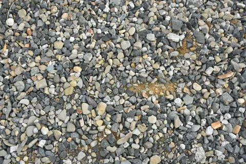 River small pebbles from borneo Foto stock