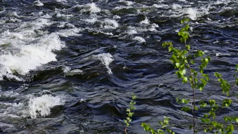 A river with a small tree out of focus in the foreground Stock Footage 266633769