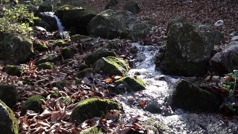The river. A small waterfall. Forest river in autumn. Shooting at close range. Stock Footage 82475681