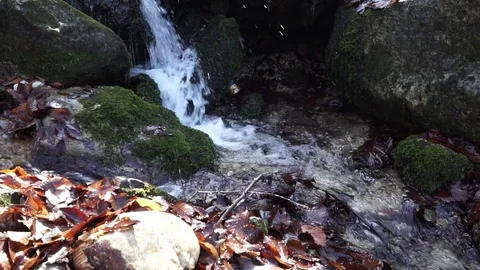 The river. A small waterfall. Forest river in autumn. Shooting at close range. Stock Footage 82475700