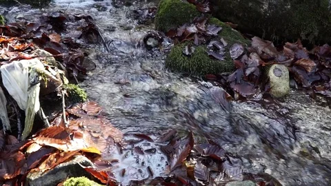 The river. A small waterfall. Forest river in autumn. Shooting at close range. Stock Footage 82475711